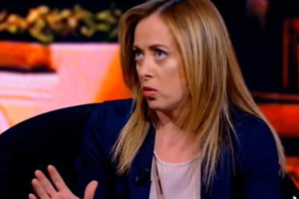 Giorgia Meloni: "Per mia figlia Ginevra il vaccino è più pericoloso del Covid" 15