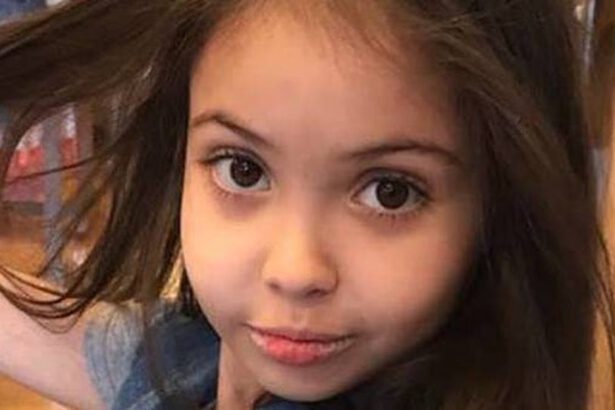 Una speranza per Giorgia: "Non c’è più rigetto" 9