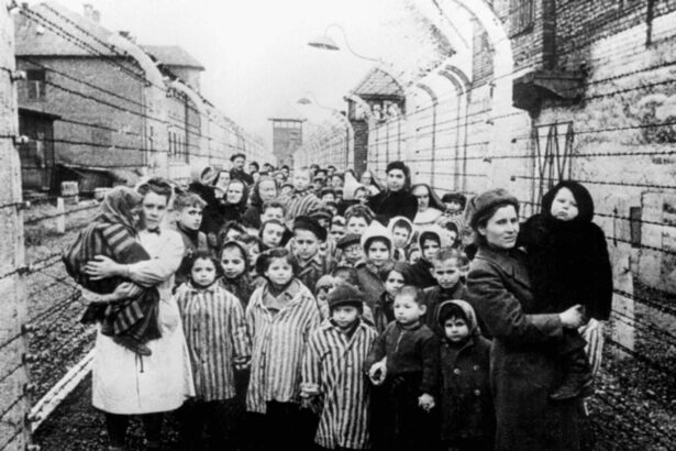 Giornata della memoria: la distorsione sull'Olocausto alimentata dal Covid 21