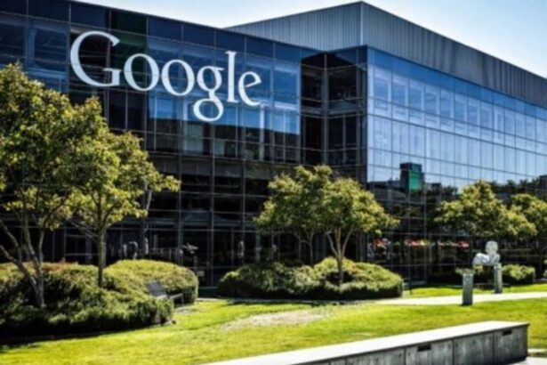 Vuoi laurearti? Puoi farlo in 6 mesi con Google. Ecco come 19