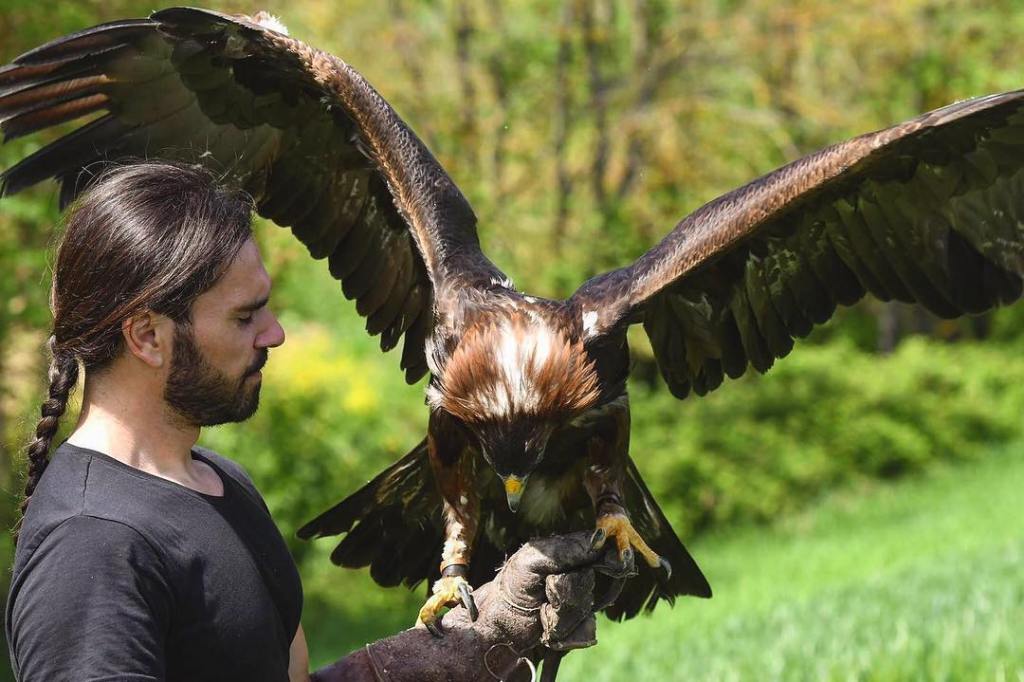 Mollo tutto per fare il collaudatore di letti: 8 professioni insolite che esistono davvero 13