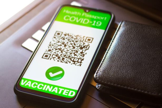 Mercato nero delle certificazioni: su Telegram 100 euro per un green pass falso 7