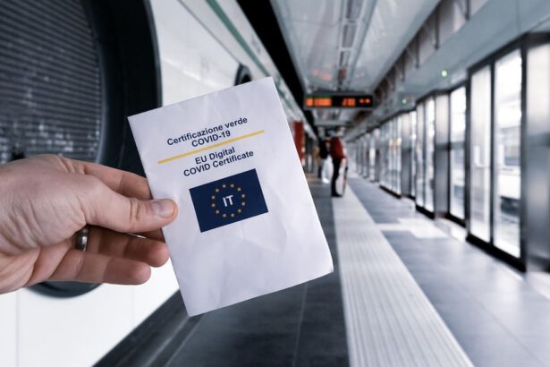 Abolizione Green Pass: cosa c'è di concreto? 7