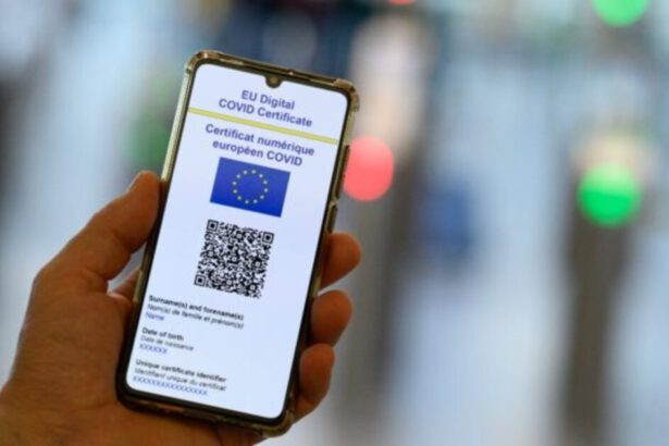 Green Pass obbligatorio dal 26 luglio: "Covid declassato a influenza se ci vacciniamo tutti" 13