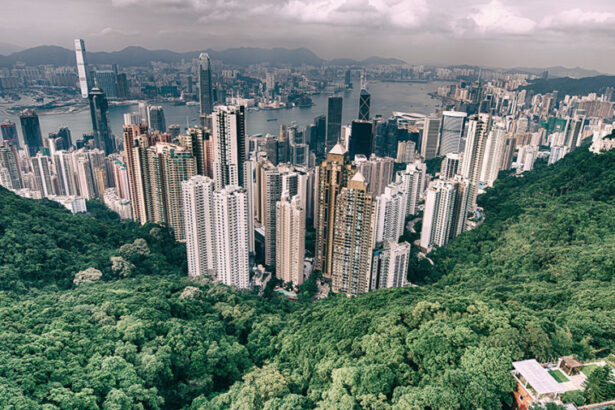 Google investe sul green: addio all’inquinamento nelle grandi città 19