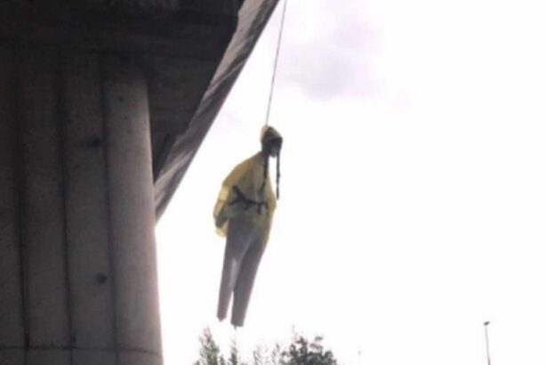 Roma, impiccato manichino con le sembianze di Greta Thunberg 11