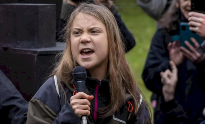 Mentre Greta Thunberg lotta contro la Co2, voli fantasma viaggiano nei nostri cieli 3