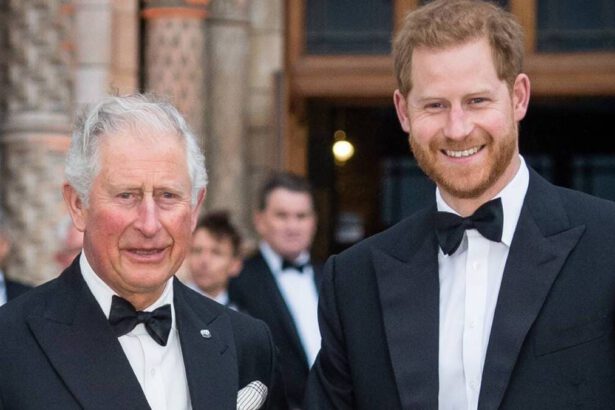 “Harry non è figlio di Carlo”: test dna pubblico smentirebbe voci false 11