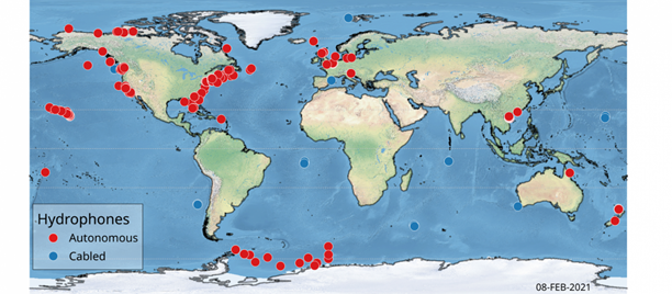 Il 2020 è stato l'anno dell'oceano tranquillo: cosa significa 4 Oceano tranquillo grazie al lockdown