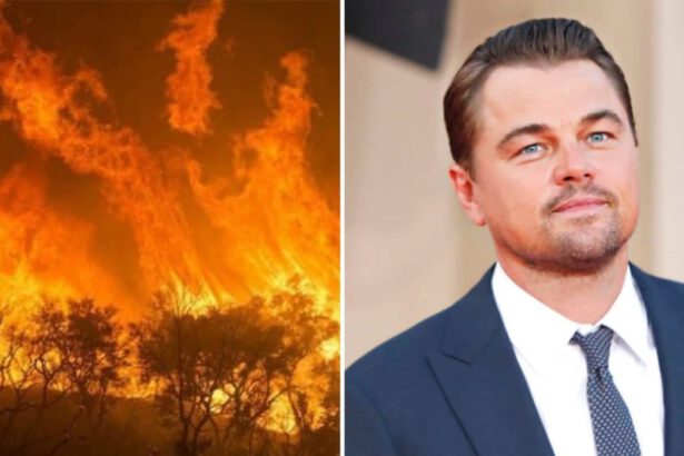 Leonardo Di Caprio dona 5 milioni di dollari per far fronte all'emergenza Amazzonia 7
