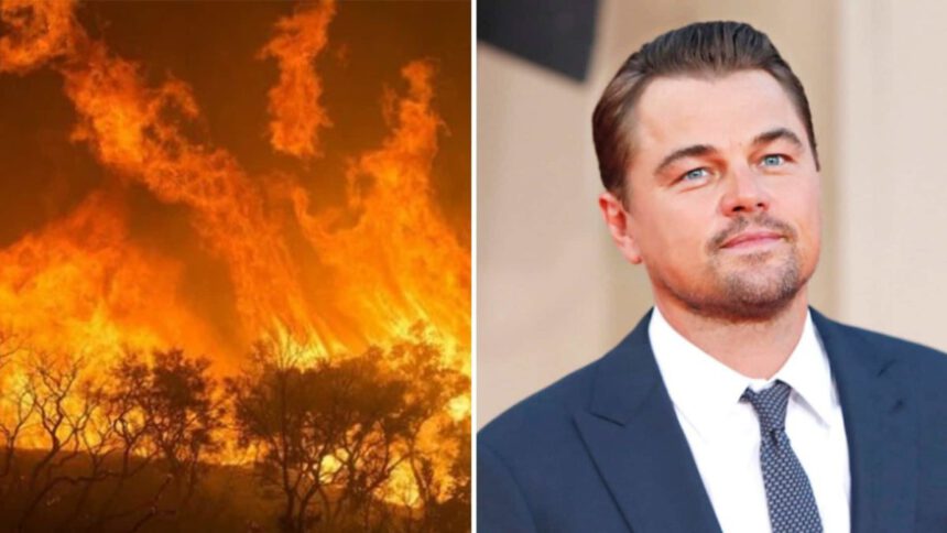 Leonardo Di Caprio dona 5 milioni di dollari per far fronte all'emergenza Amazzonia 2 Leonardo Di Caprio dona 5 milioni di dollari per far fronte all'emergenza Amazzonia 1