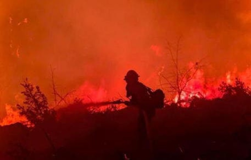 Incendio in Sardegna: la disperazione delle persone e la devastazione di un ecosistema 5