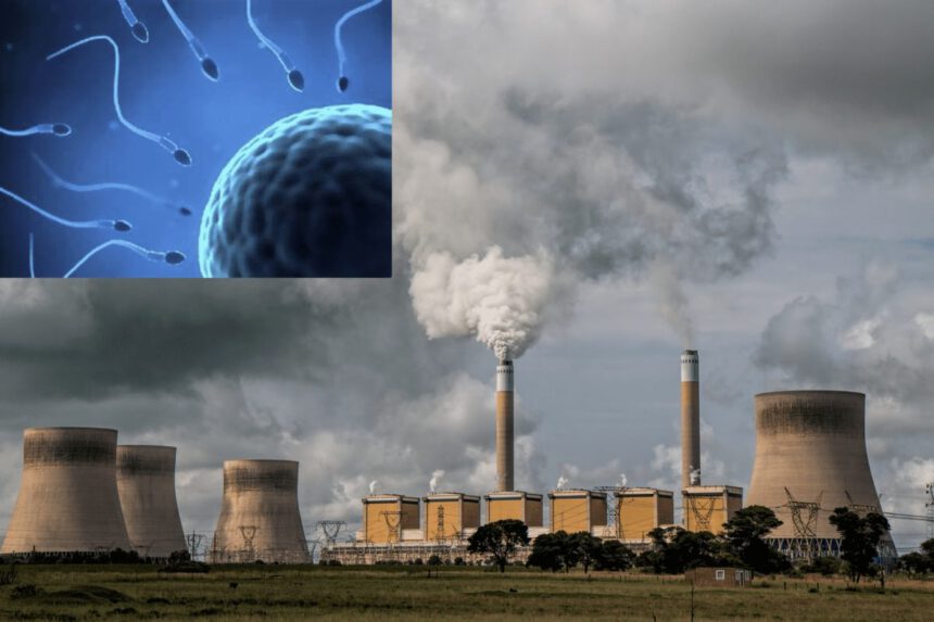 L'inquinamento da combustibili fossili potrebbe essere causa di infertilità 1