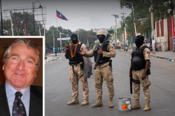 Ingegnere italiano rapito ad Haiti, la Farnesina: "Atto a scopo estorsivo" 15