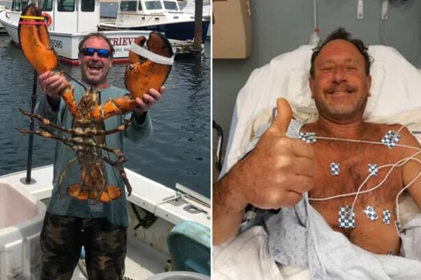 Usa, balena inghiotte pescatore. Poi un colpo di tosse e si salva 15