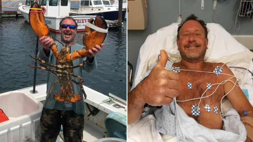 Usa, balena inghiotte pescatore. Poi un colpo di tosse e si salva 1