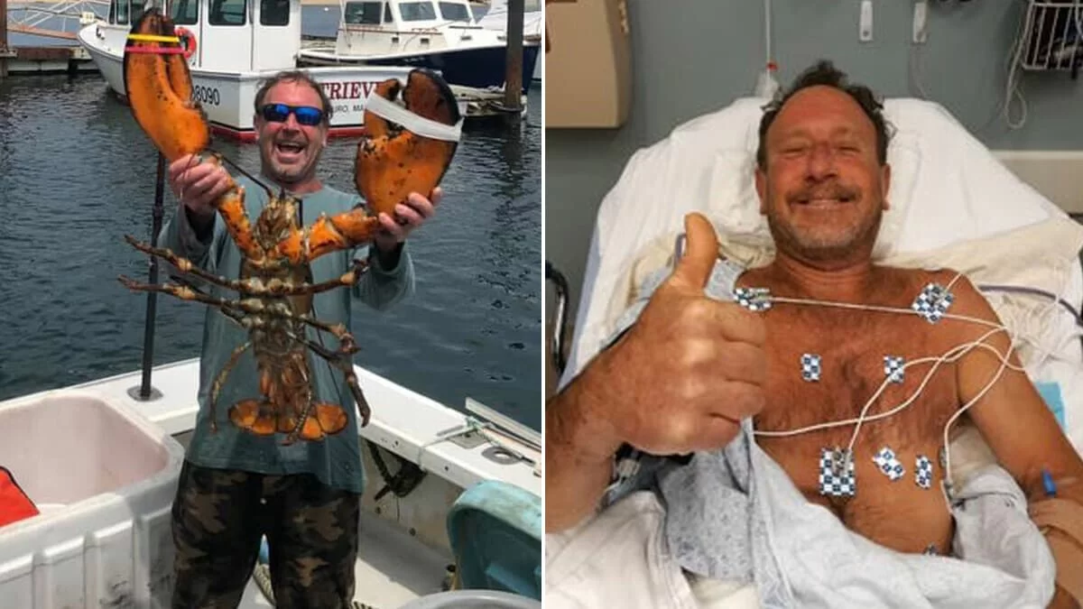 Usa, balena inghiotte pescatore. Poi un colpo di tosse e si salva 17