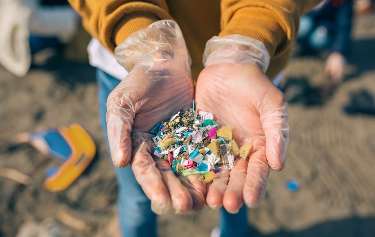 L'inquinamento da microplastiche causerebbe malattie infiammatorie intestinali 17
