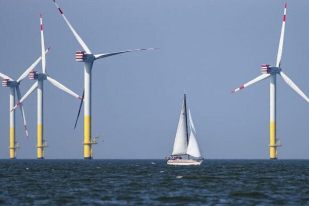 La Danimarca punta tutto sull'eolico: nel Mar del Nord nasce la più grande isola energetica al mondo 8