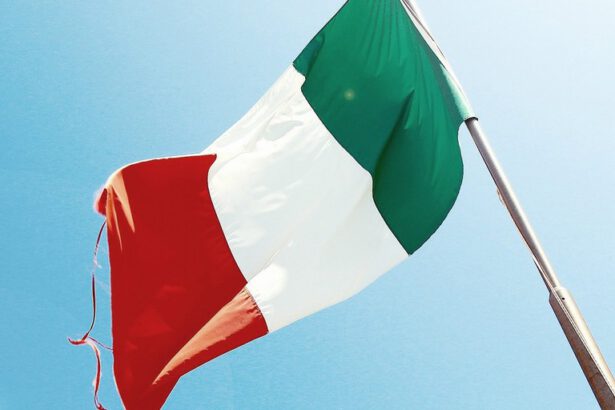 Coronavirus, l'analisi dei dati: l'Italia è davvero la più colpita dopo la Cina? 13