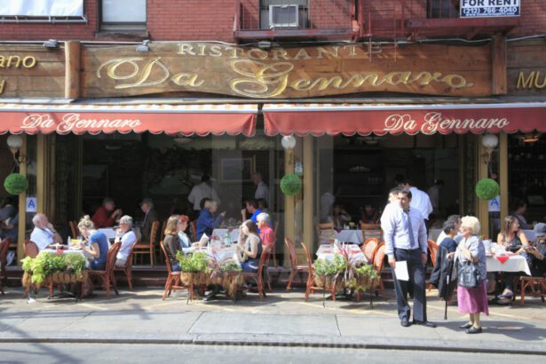 Gli italiani sono bianchi? Per molti americani la risposta è no 13