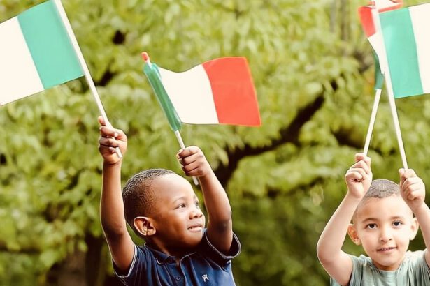 Ius soli, quanto è importante che si applichi anche in Italia 19