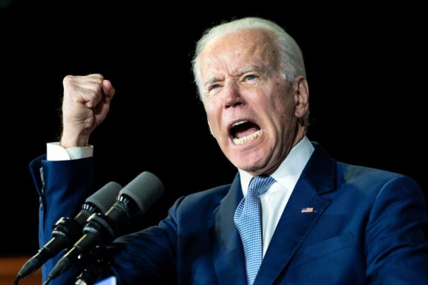 La campagna di Joe Biden, siamo agli sgoccioli 15