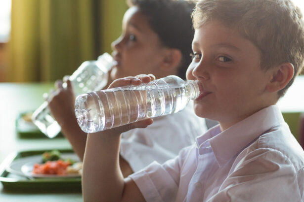 Basta plastica nelle scuole, Bologna diventa green 14
