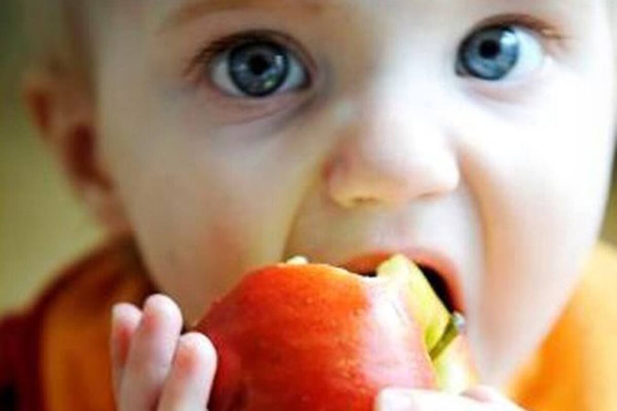 Copenhagen, alberi da frutto in città a disposizione di tutti 19