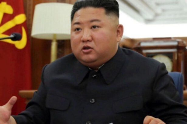 Kim Jong Un: "Niente sesso tra gli adolescenti, chi lo pratica verrà punito severamente" 9
