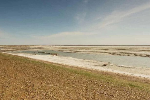 Lago d’Aral, la rinascita di un tesoro quasi scomparso 9
