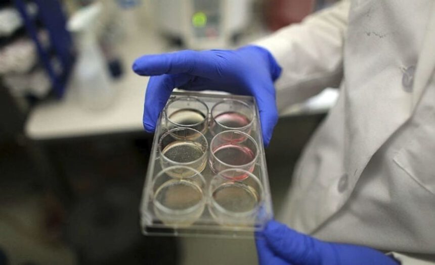 La lattoferrina salva dal Covid? La parola degli esperti 1