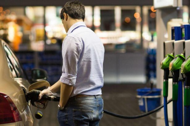 L'aumento della benzina riuscirà a cambiare le abitudini degli italiani? 7