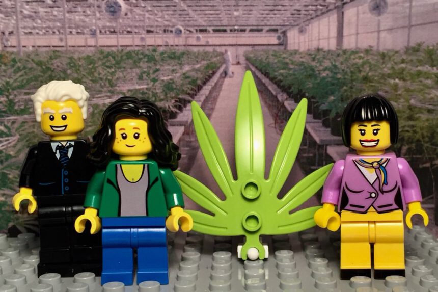 Lego diventa green: arrivano i mattoncini in bioplastica da canapa 1