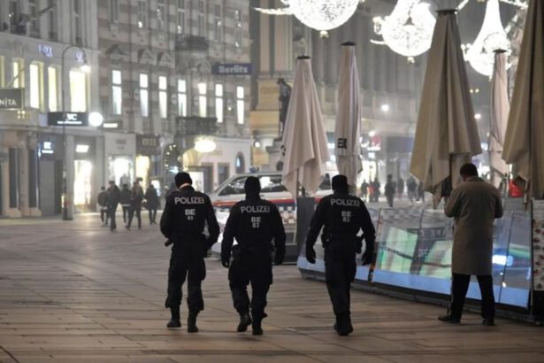 Lockdown per i No Vax in Austria, ci pensano anche Bolzano, Liguria ed Emilia Romagna: "Una follia" 30