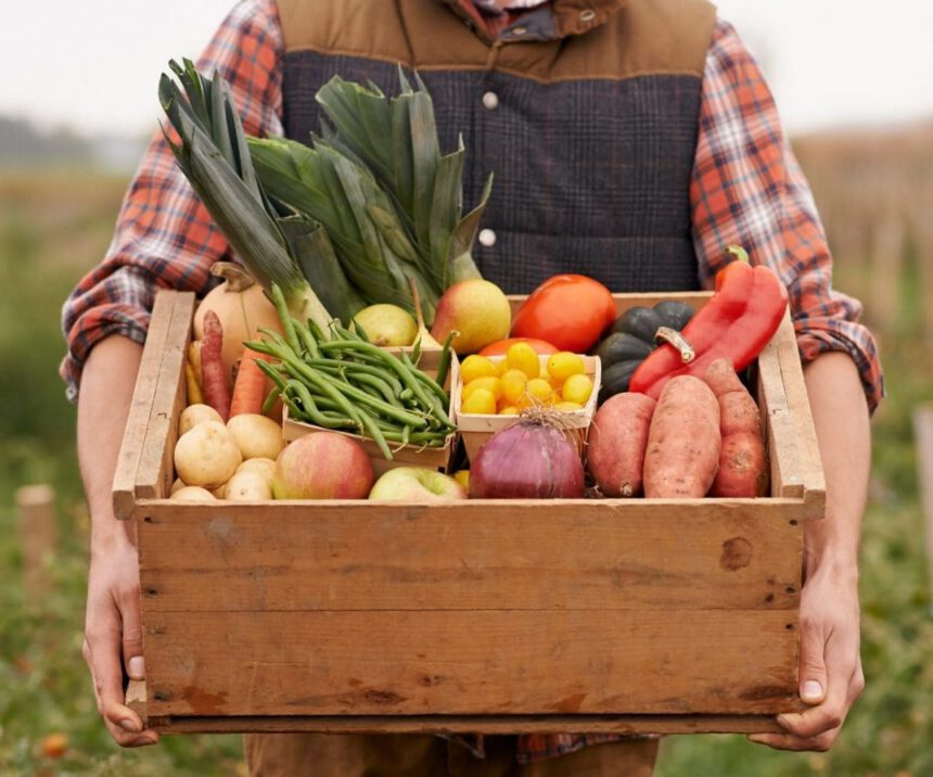 In Francia il Lunedì Verde: un giorno senza carni per un'alimentazione sostenibile 1