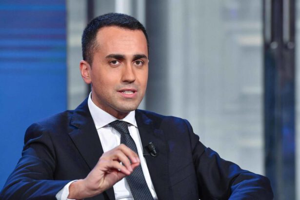 Di Maio: "Carcere per i grandi evasori, punto irrinunciabile" 10