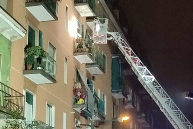 Madre e figlia trovate morte in casa con i loro cagnolini: la verità su quanto accaduto in un diario 7