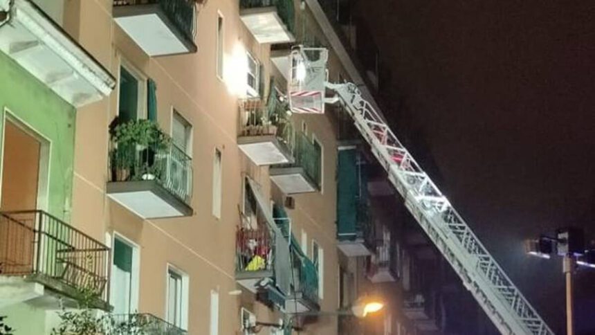 Madre e figlia trovate morte in casa con i loro cagnolini: la verità su quanto accaduto in un diario 2 Madre e figlia trovate morte in casa con i loro cagnolini: la verità su quanto accaduto in un diario 1