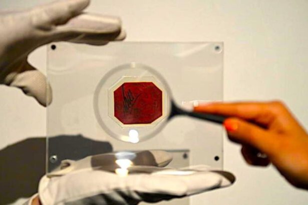 Oggi all'asta da Sotheby's "Magenta da un penny": un francobollo da 10 a 15 milioni di dollari 20