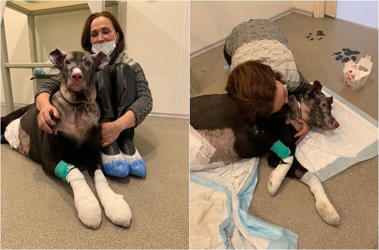 Matilda, la cagnolina coraggiosa che ha salvato dalle fiamme gli ospiti di una casa per anziani in Russia 3