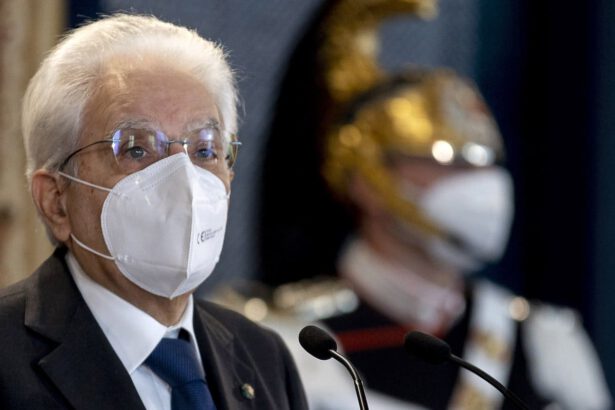 L'esempio di Mattarella: “Non appena possibile mi sottoporrò al vaccino” 25