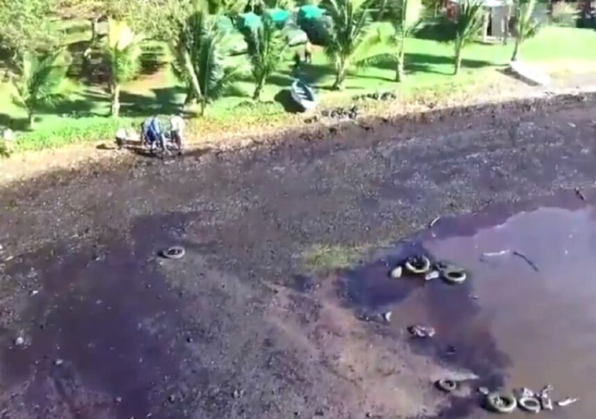 Mauritius: “L’abbiamo uccisa. Ci vorranno almeno cento anni per riportarla a quello che era” 1