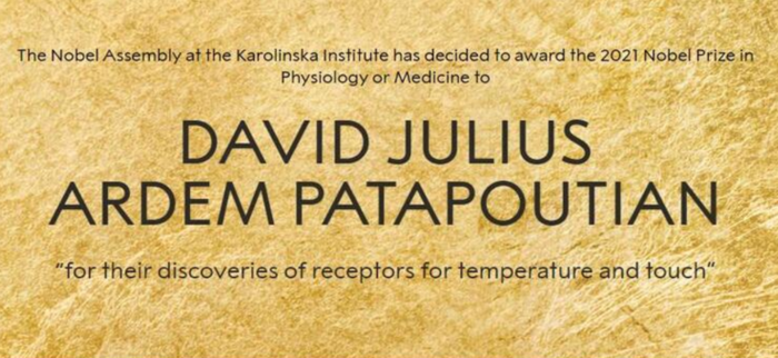 Nobel Medicina 2021: vittoria degli americani con la scoperta sui recettori di temperatura e tatto 5 Nobel Medicina 2021: vittoria degli americani con la scoperta sui recettori di temperatura e tatto 4