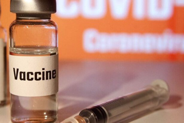 Mercato nero vaccini, l'intermediario misterioso: "Sono state le Regioni a chiederlo" 35