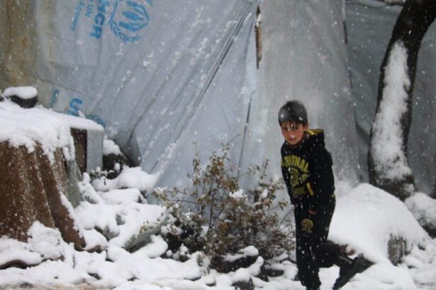 Eurodeputati respinti al confine di Bosnia e Croazia: "Non dovevamo vedere" 19