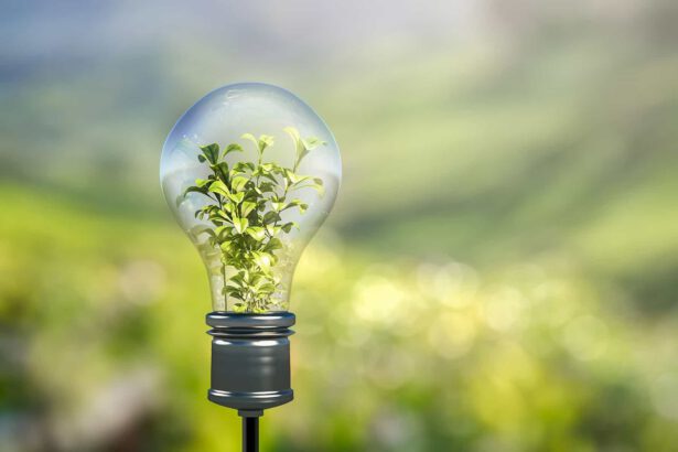 "M'illumino di meno" nella giornata del risparmio energetico e degli stili di vita sostenibili 8