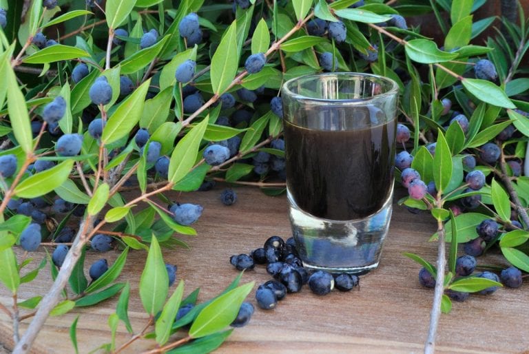 Mirto: storia, proprietà e ricetta originale del liquore sardo 1