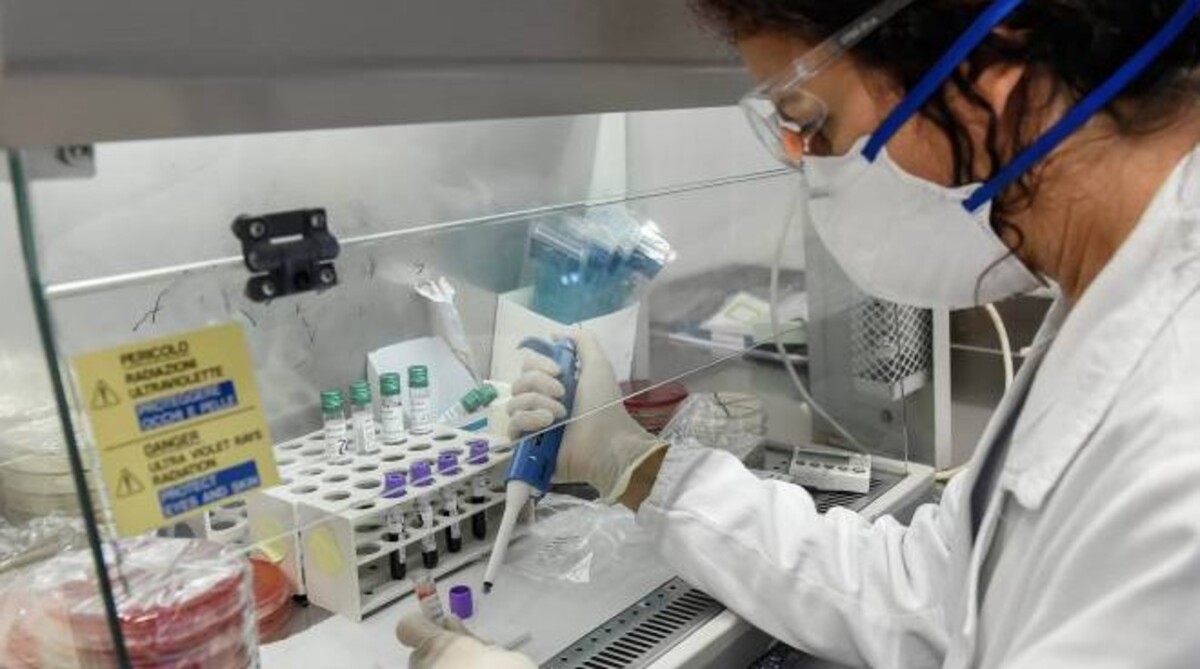 Covid, scoperta molecola del sistema immunitario che blocca tutte le varianti 15