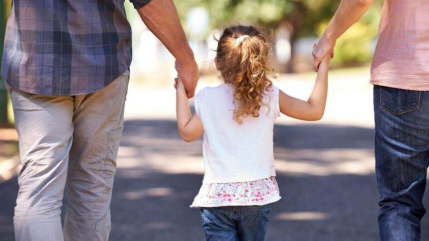 Covid, morta bambina di 11 anni a Palermo. Aveva una patologia rara e genitori no vax 1